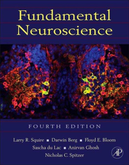 Larry Squire - Fundamental Neuroscience, Fourth Edition