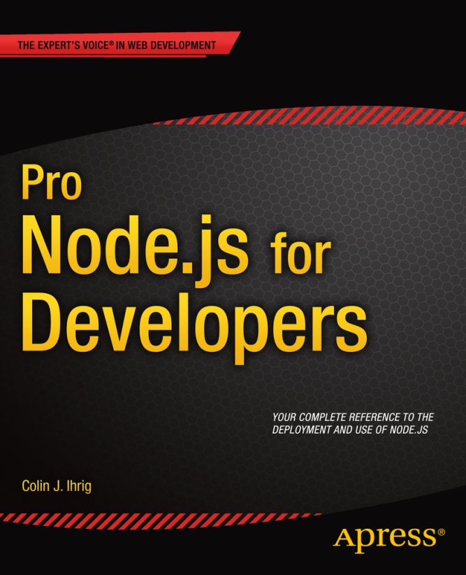 Pro Nodejs for Developers - image 1