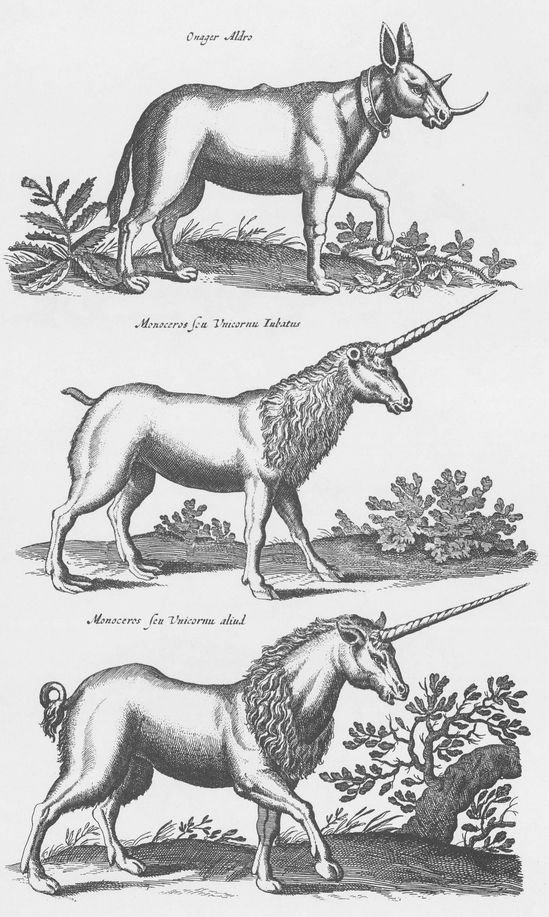 1300 Real and Fanciful Animals from Seventeenth-Century Engravings - photo 5