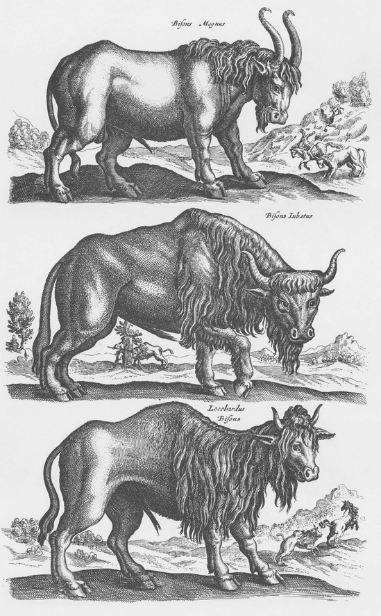 1300 Real and Fanciful Animals from Seventeenth-Century Engravings - photo 9