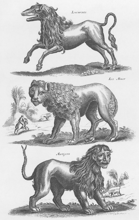 1300 Real and Fanciful Animals from Seventeenth-Century Engravings - photo 30