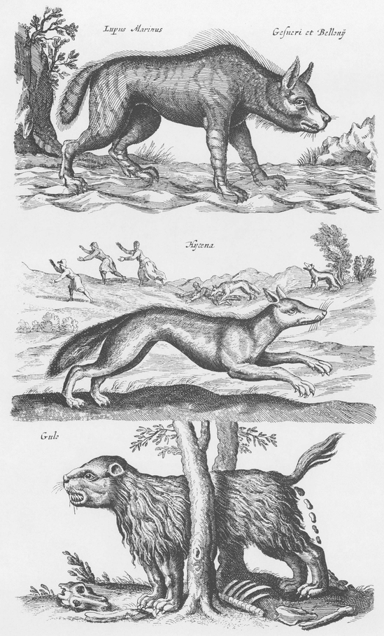 1300 Real and Fanciful Animals from Seventeenth-Century Engravings - photo 32