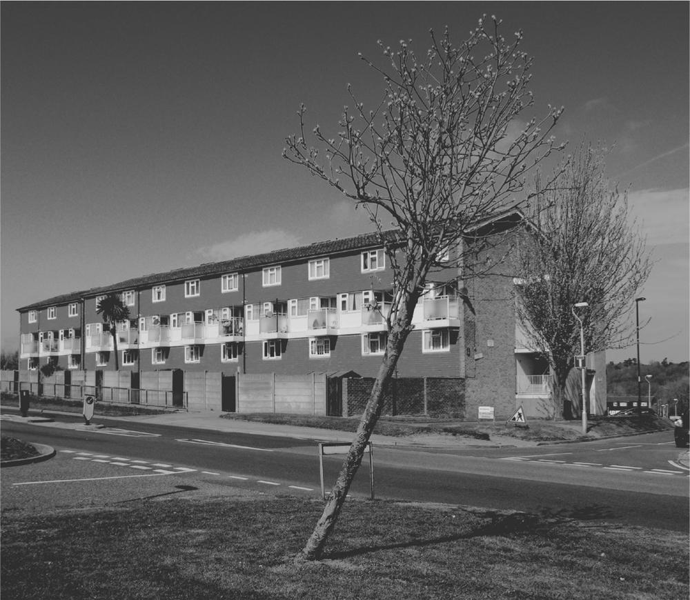 Flats on the Fieldway estate The tree gives some idea of the high winds - photo 2