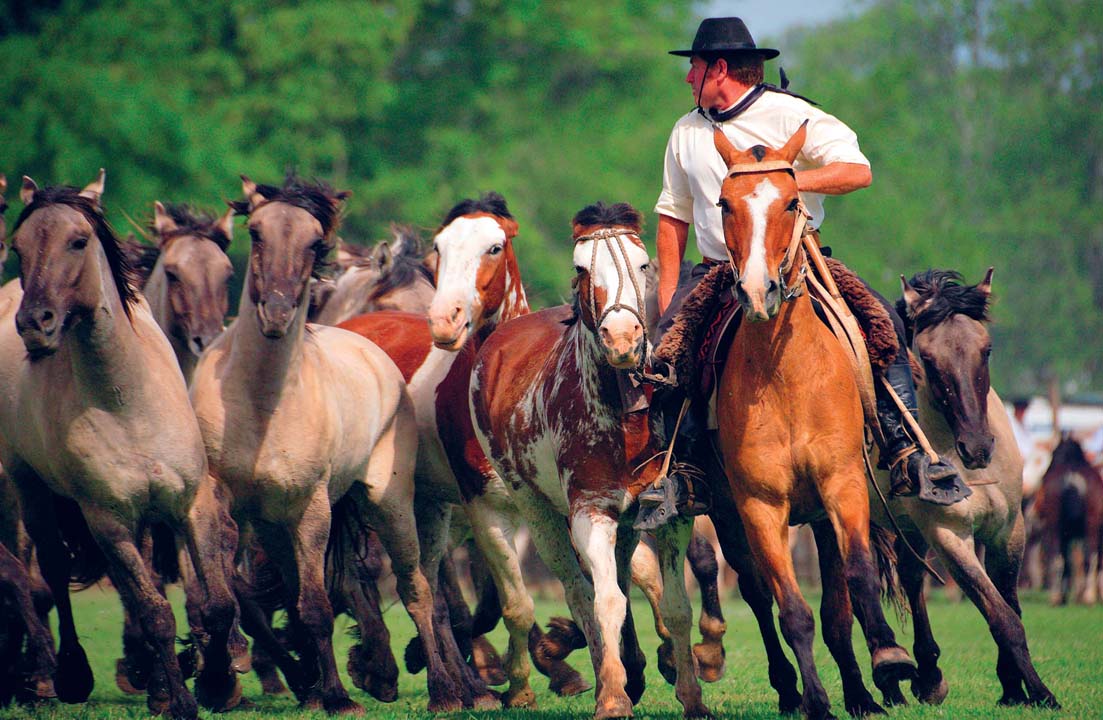 Da de la Tradicin San Antonio de Areco BERNARDO GALMARINIALAMY City Life - photo 4