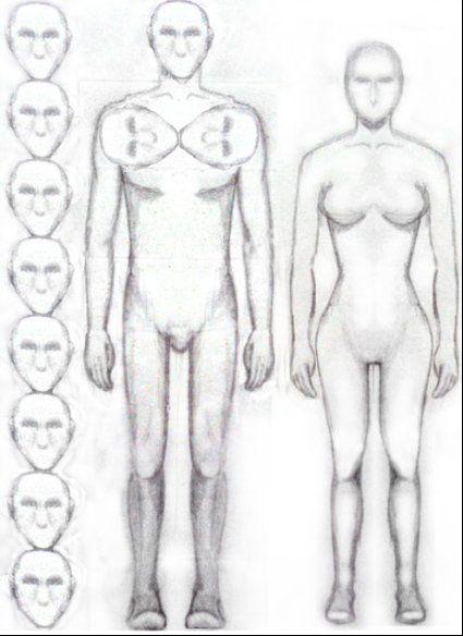 Proportioning the body structure properly is important when drawing a person A - photo 10