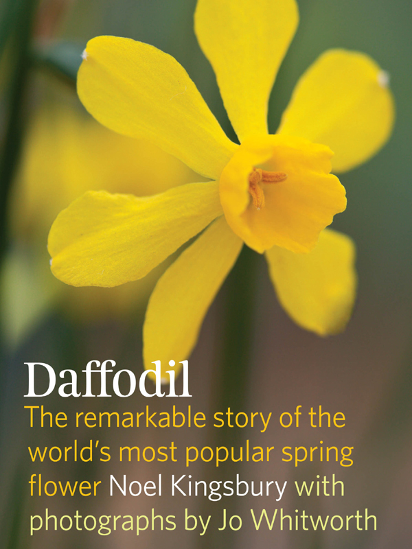 Daffodil Daffodil The remarkable story of the worlds most popular spring - photo 1