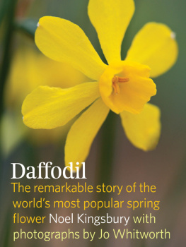 Noel Kingsbury - The Daffodil: Discover the Remarkable Story of the Worlds Most Popular Spring Flower