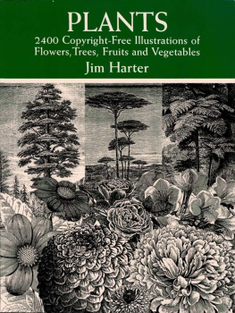 Jim Harter - Plants