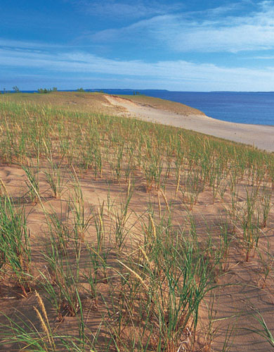 The eastern shore of Lake Michigan contains the largest freshwater dune system - photo 7