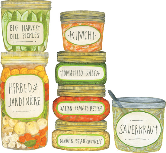 THE Pickled Pantry Andrea Chesman Illustrations by Lisa Congdon To - photo 2