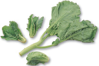 Kale sometimes referred to as Chinese broccoli is enjoyed for its firm - photo 10