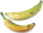 Plantains sometimes referred to as cooking bananas are a starchy vegetable - photo 14