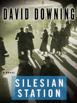 David Downing - Silesian Station