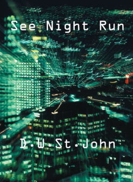 D. W. St. John See Night Run