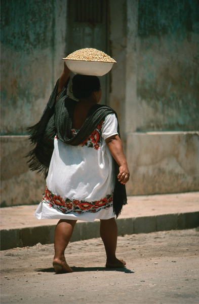 Every day throughout the Yucatn Peninsula Mayan women bring their nixtamal to - photo 2