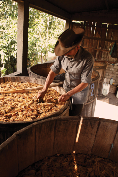 A local palenquero small mezcal producer in Mattlan Oaxaca checks the - photo 15