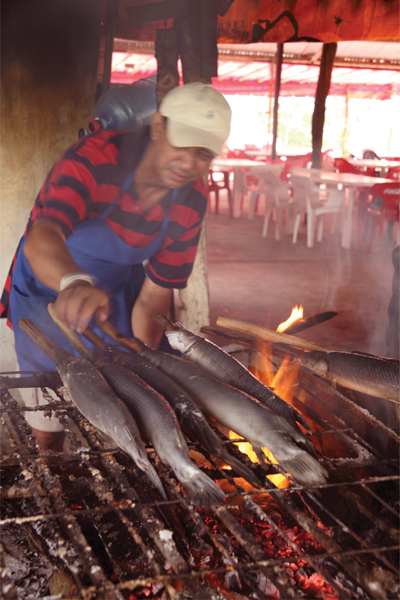 In Tabasco the freshwater pejelagarto a type of gar is an important part of - photo 17