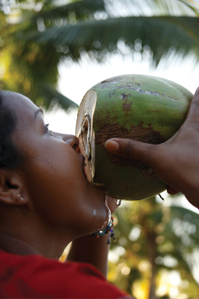 Drinking the water directly from the coconut is a refreshing treat for this - photo 10