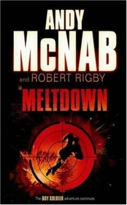 Andy McNab Meltdown