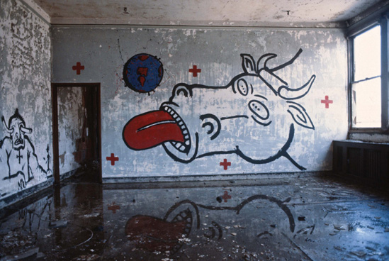 The gagging cow drawn on the wall of the Ward Line Pier 198283 Photograph - photo 3