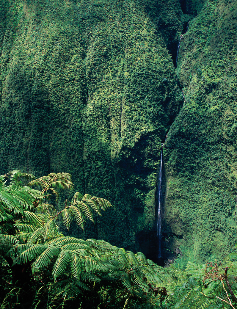 Waipio Valley PHOTOGRAPHER KARL LEHMANN LONELY PLANET IMAGES - photo 6