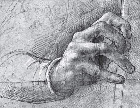 Study of a Hand by an anonymous Milanese artist c1500 s Anatomical - photo 6