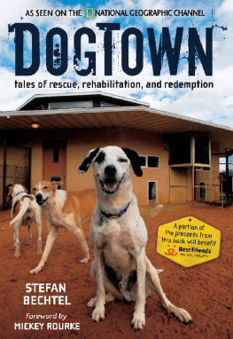 Stefan Bechtel DogTown: Tales of Rescue, Rehabilitation, and Redemption