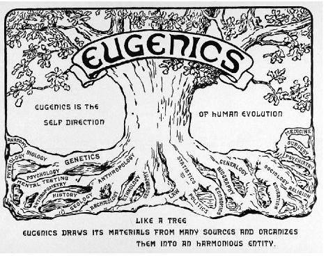 A eugenics leaflet prepared by Harry Laughlin director of the Eugenics Record - photo 3