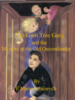 E Marie Seltenrych - The Gum Tree Gang and the Mystery at the Old Queenslander