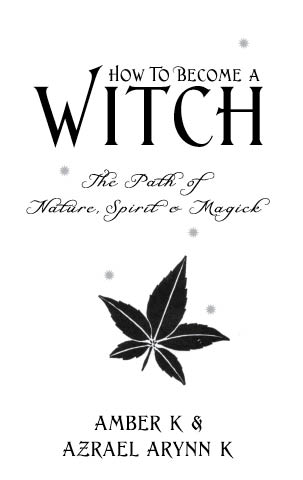 Llewellyn Publications Woodbury Minnesota How to Become a Witch The Path - photo 2