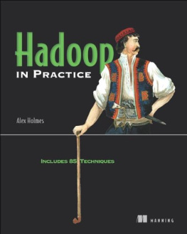 Alex Holmes - Hadoop in Practice