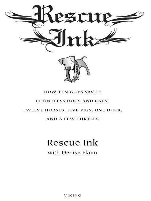 Table of Contents Dedicated to all the animals who have been saved from - photo 1