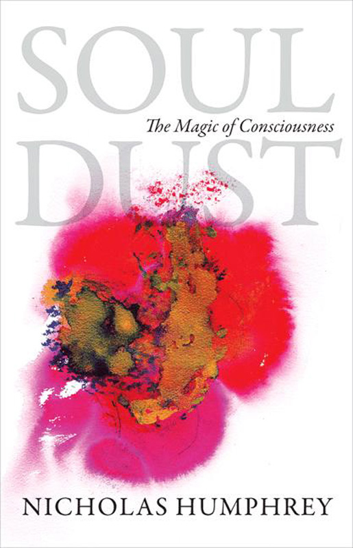 Soul Dust The Magic of Consciousness - image 1