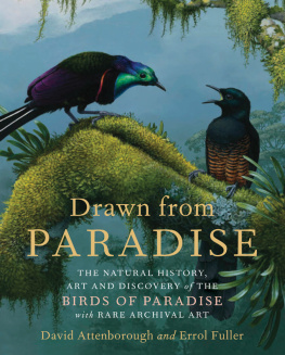 David Attenborough - Drawn from Paradise: The Natural History, Art and Discovery of the Birds of Paradise with Rare Archival Art