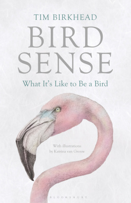 Tim Birkhead - Bird Sense: What Its Like to Be a Bird