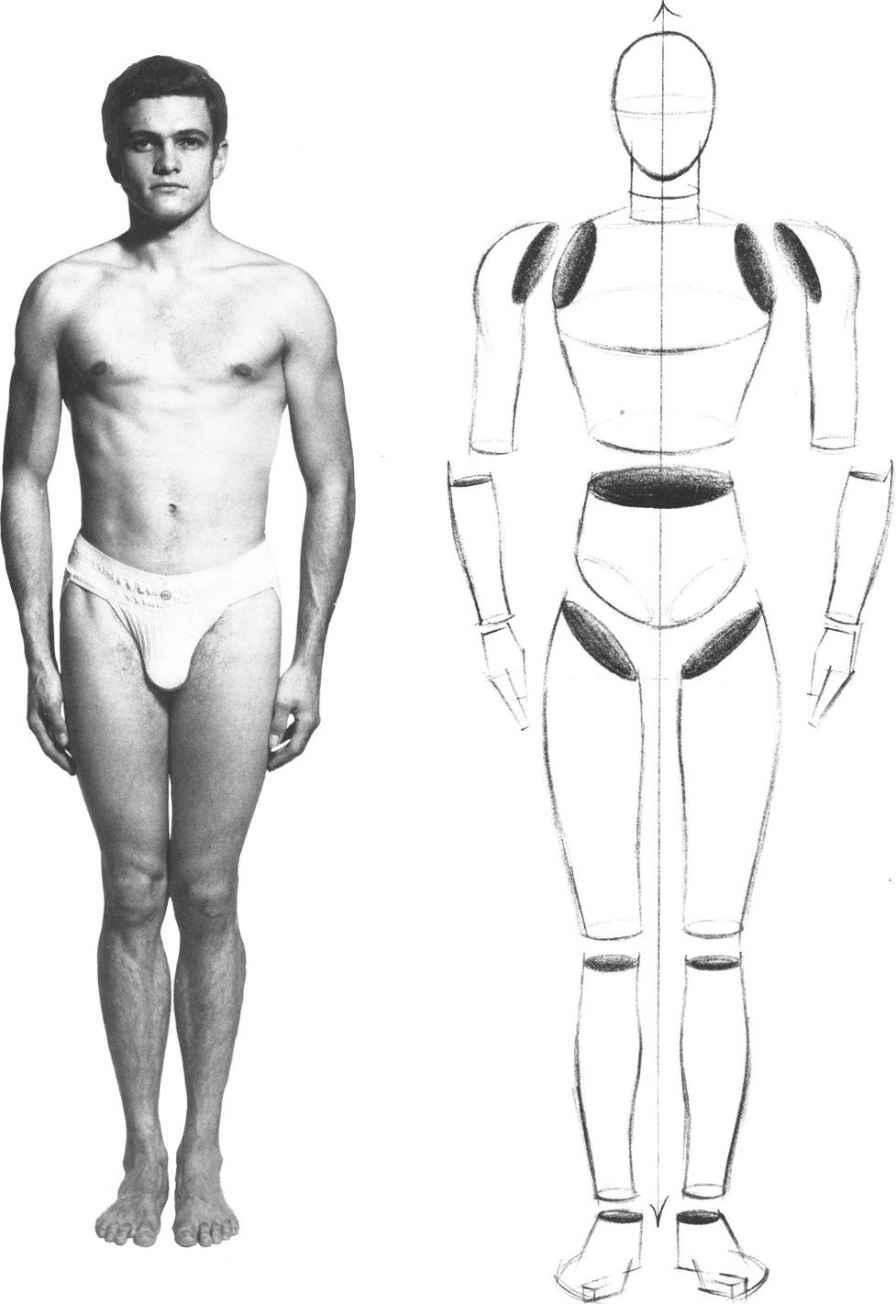 CHAPTER 1 The basic form figure Leonardo DaVincis 8 head human - photo 6