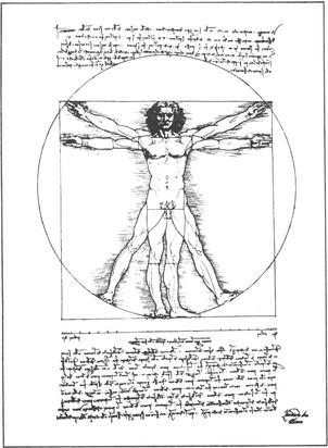 Leonardo DaVincis 8 head human proportions The basic form figure on the - photo 7