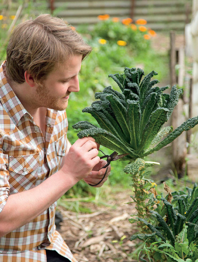 A GREEN THUMB SO WHY A BOOK ON VEGETABLES I HEAR YOU ASK Its quite simple - photo 5