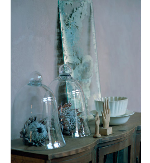 Glass bell jars and Protea flowers on a sideboard cabinet in Leoni Smits house - photo 7