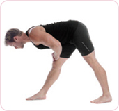 Anatomy of Stretching - image 2