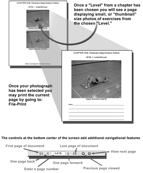 Utilizing the functional exercise progression concept outlined in this book can - photo 2