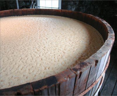 Detail of the fermenting process of making bourbon Woodford Reserve - photo 8