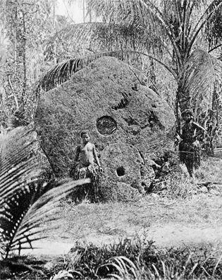 The stone currency of Yap as photographed by William Henry Furness III in 1903 - photo 5