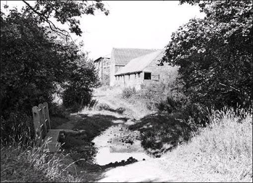 Felley Mill known as Strelly Mill in Lawrrences first novel PART ONE - photo 8