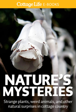 Cottage Life - Natures Mysteries: Strange plants, weird animals, and other natural surprises in cottage country