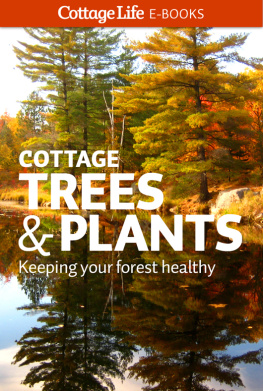 Cottage Life - Cottage Lifes Green Bundle: 3-Book Set: Green Cottaging; Cottage Bugs; Cottage Trees & Plants
