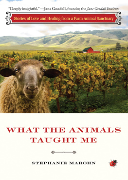 Stephanie Marohn - What the Animals Taught Me: Stories of Love and Healing from a Farm Animal Sanctuary