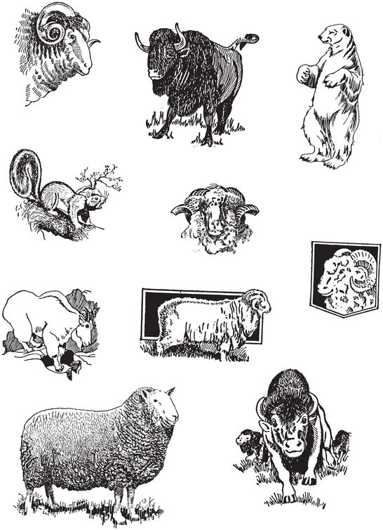 Lively Advertising Cuts of the Twenties and Thirties 1102 Illustrations of Animals Food and Dining Children etc - photo 15