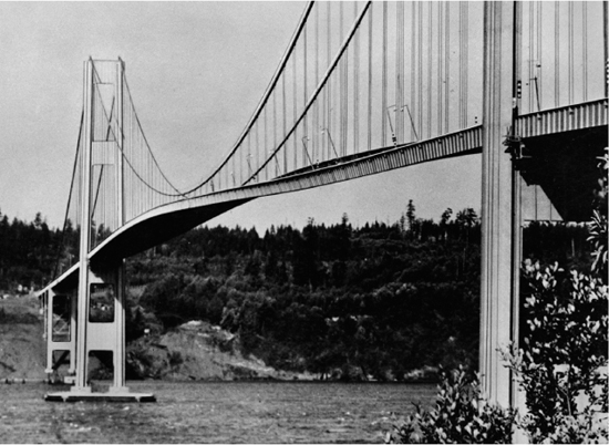 Figure 1A The Tacoma Narrows Bridge displayed torsional oscillation and - photo 3