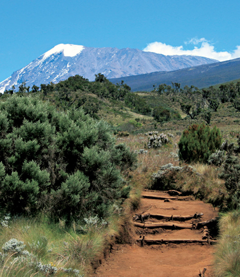 A trek to the top of Mount Kilimanjaro holds a prominent place on many hikers - photo 5